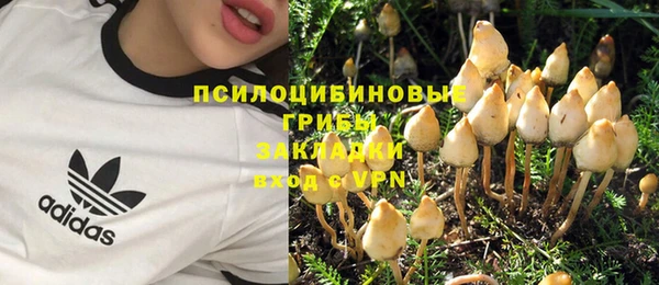 гидропоника Рославль