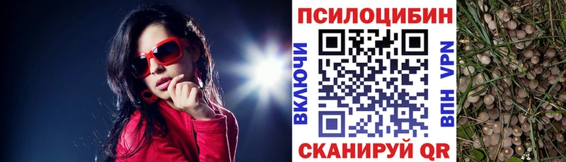 Псилоцибиновые грибы мухоморы  Борисоглебск 