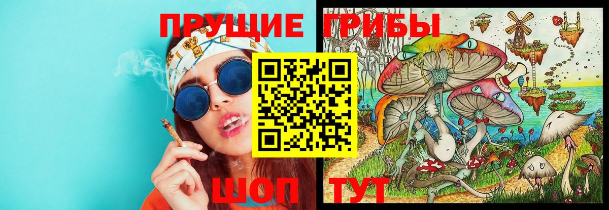где продают наркотики  Галлюциногенные грибы прущие грибы  Борисоглебск  Вход с VPN  Галлюциногенные грибы MAGIC MUSHROOMS 